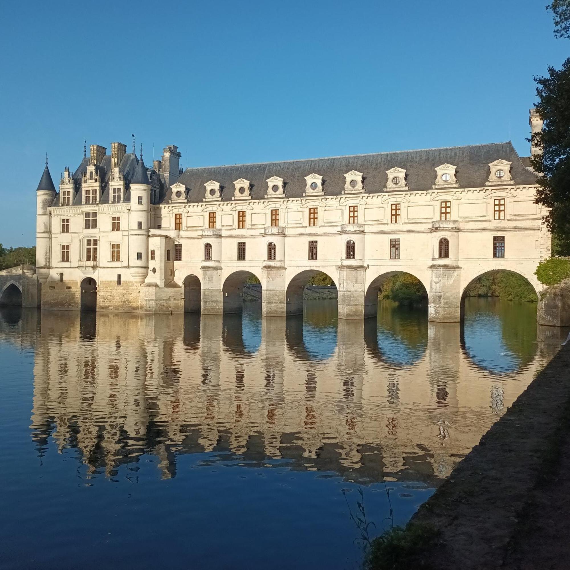Au Nom Des Dames, Maison Et Table D'Hotes, Pres De Chenonceau Et Du Zoo De Beauval Faverolles-sur-Cher 외부 사진